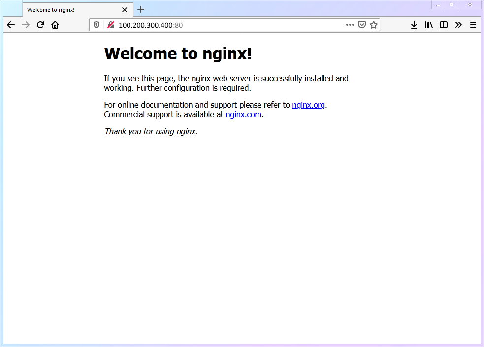 Nginx default interface